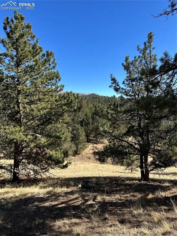 1196 Wellington Drive, Cripple Creek, CO 80813 - Image #2