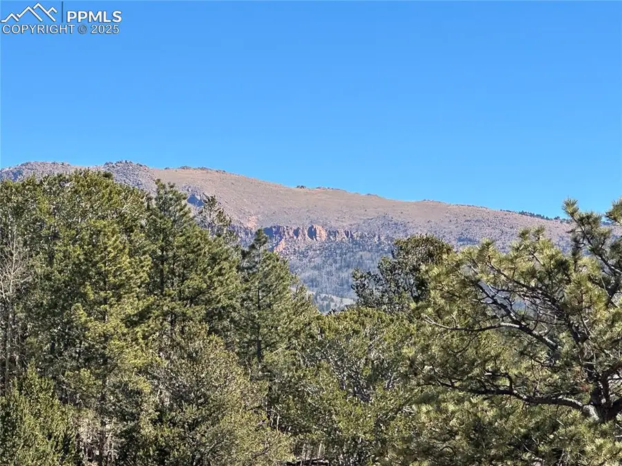 1196 Wellington Drive, Cripple Creek, CO 80813 - Image #3