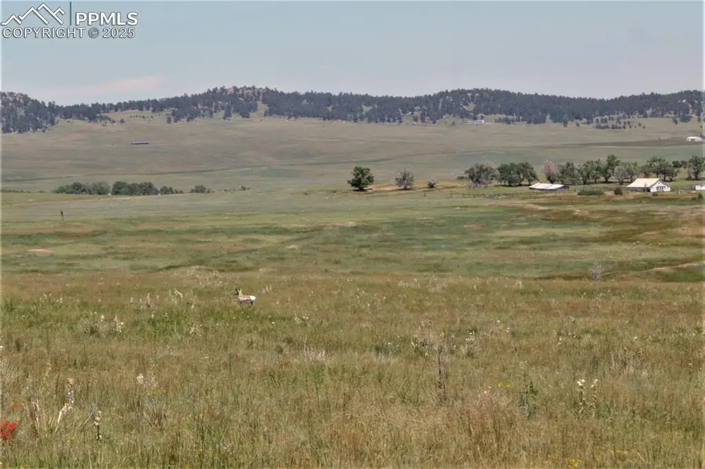 Tract 17 Sweet Road, Calhan, CO 80808 - Image #1