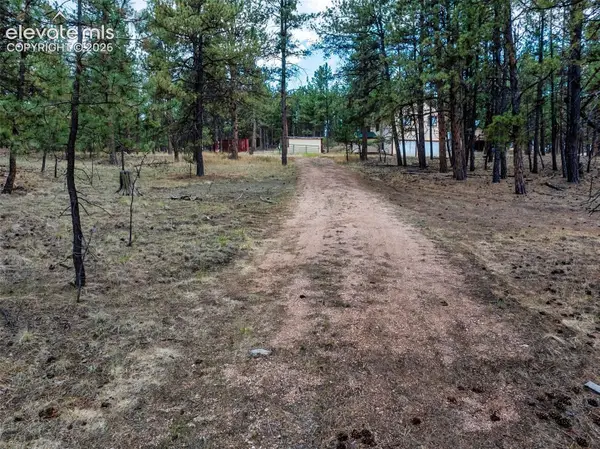 41 & 73 Ingels Drive, Florissant, CO 80816