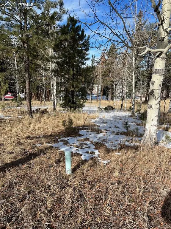 630 Pembrook Drive, Woodland Park, CO 80863 - Image #2