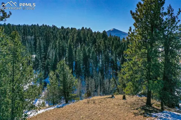 456 Idlewild Drive, Cripple Creek, CO 80813