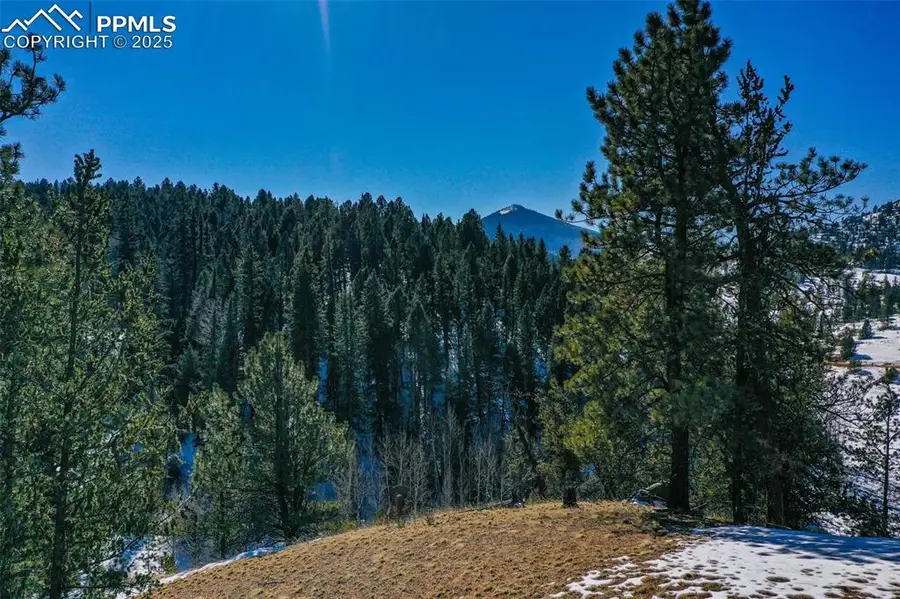 456 Idlewild Drive, Cripple Creek, CO 80813 - Image #2