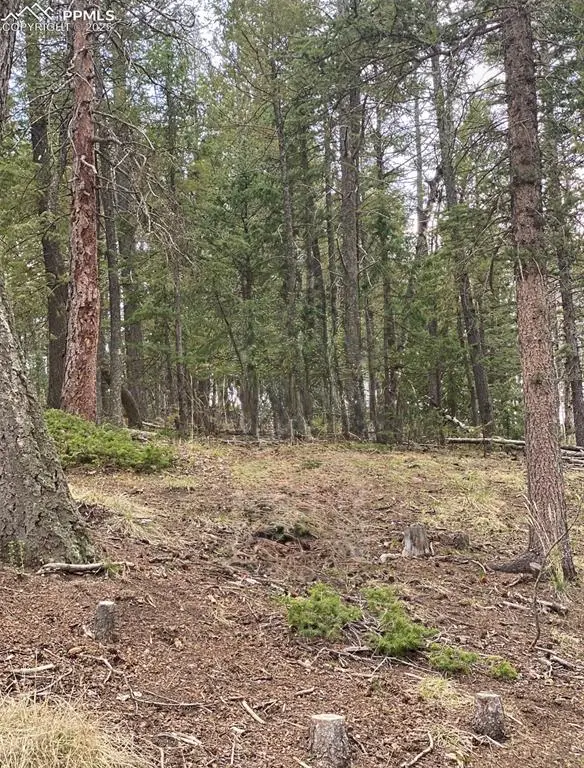 126 Glenwood Lane, Woodland Park, CO 80863