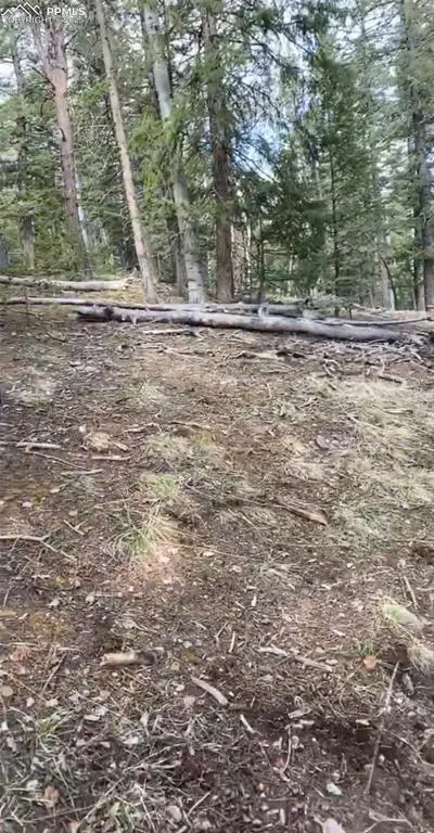 126 Glenwood Lane, Woodland Park, CO 80863 - Image #2