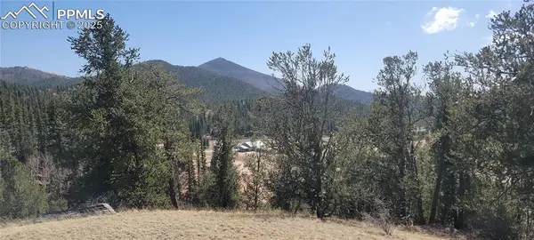 257 Portland Drive, Cripple Creek, CO 80813