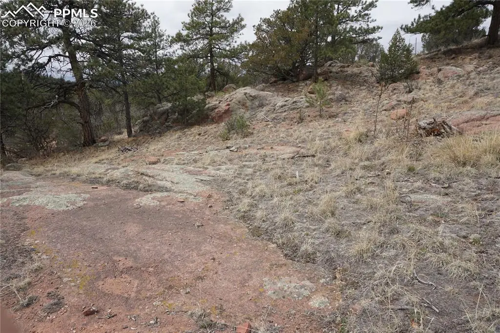 1893 Arapahoe Drive, Cripple Creek, CO 80813 - #1