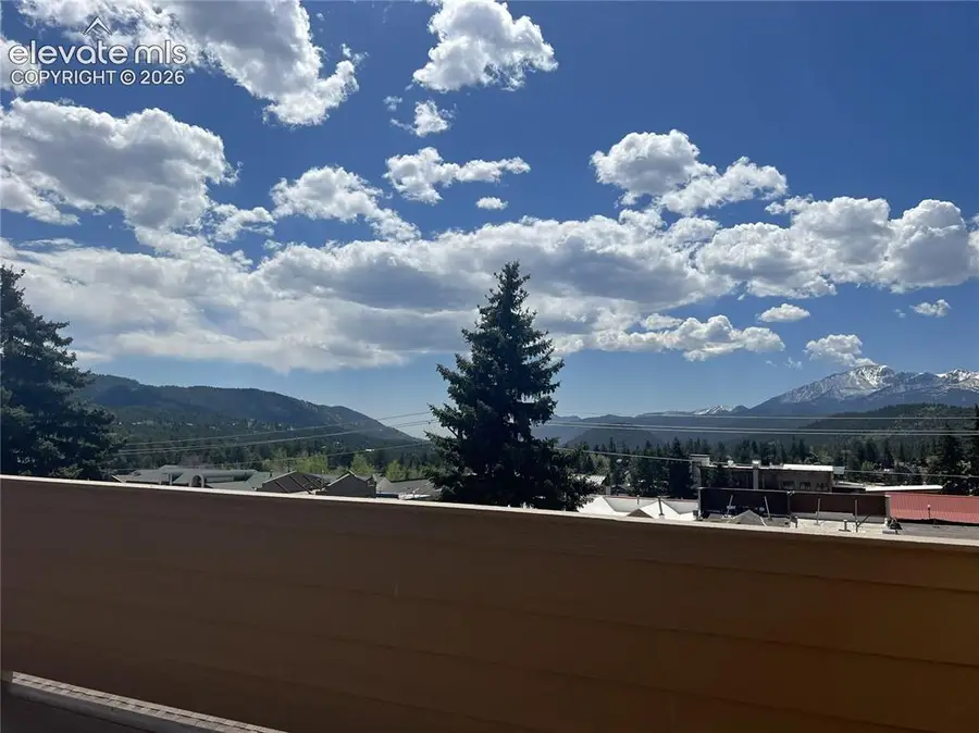 201 W Henrietta Avenue, Woodland Park, CO 80863 - #3