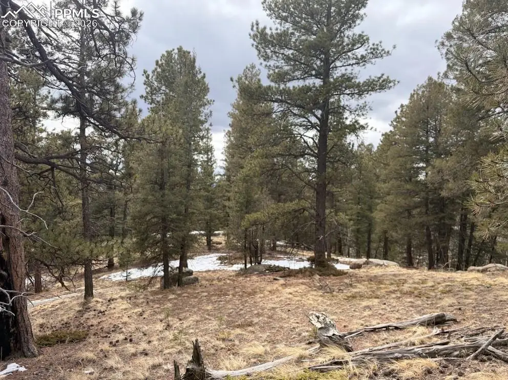 84 Point View Circle, Florissant, CO 80816 - #1