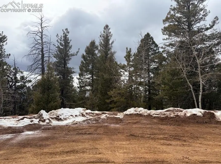 84 Point View Circle, Florissant, CO 80816 - #2