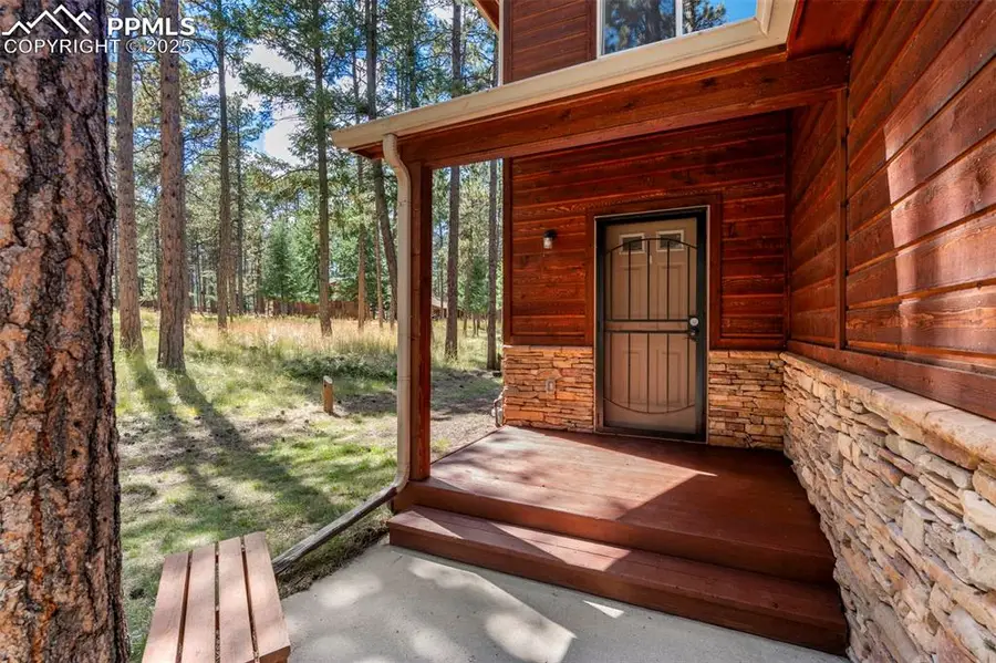 316 N Walnut Street, Woodland Park, CO 80863 - Image #3