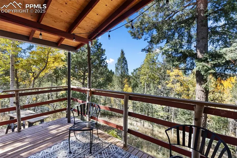679 Calcite Drive, Divide, CO 80814 - Image #2