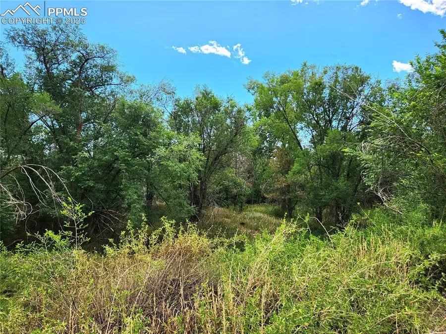 3655 Parkmoor Village Drive, Colorado Springs, CO 80917 - Image #3