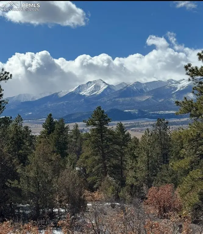 209 Rosewood Road, Westcliffe, CO 81252 - #3