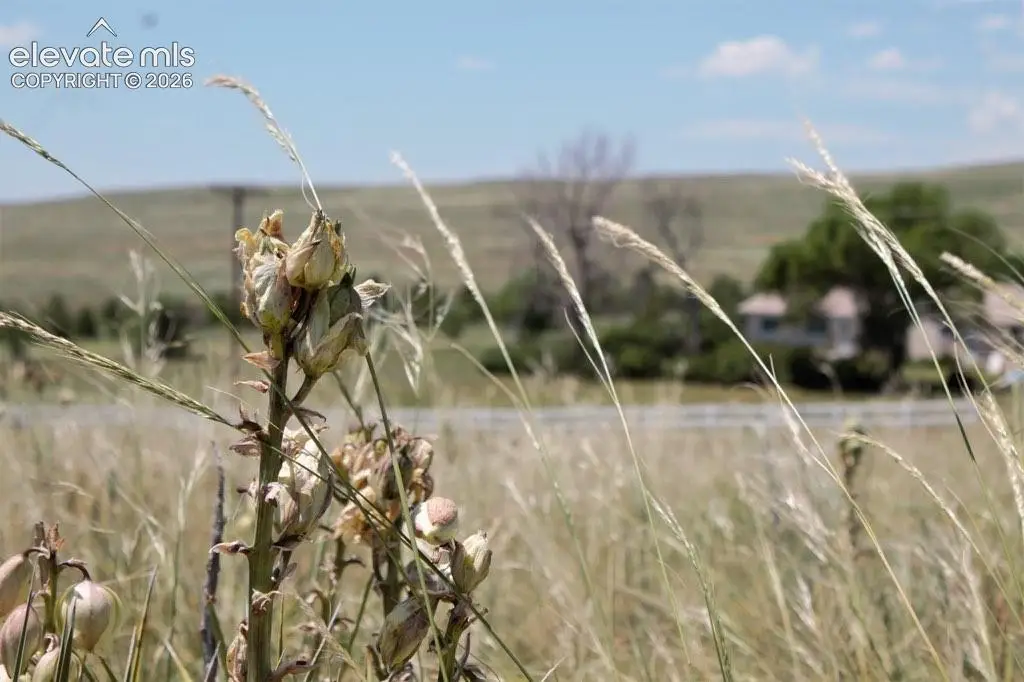 Tract 5 Mcclelland Road, Calhan, CO 80808 - #1