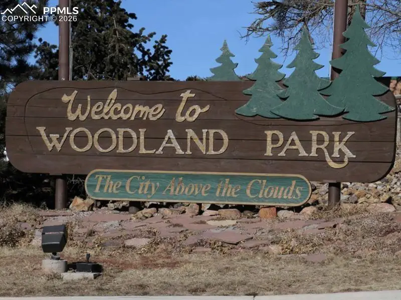 29545 Highway 67, Woodland Park, CO 80863 - #2