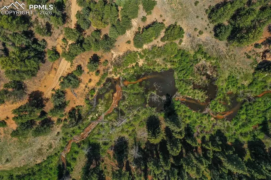 29545 Highway 67, Woodland Park, CO 80863 - #3