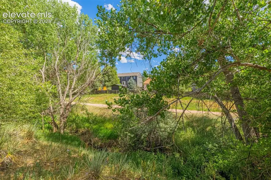 6515 Apex Court, Colorado Springs, CO 80911 - #3
