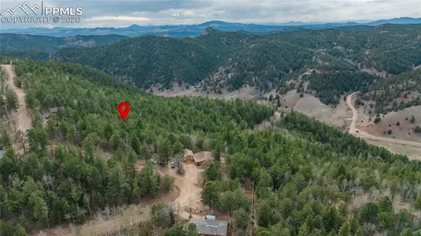 881 Timber Ridge Road, Divide, CO 80814