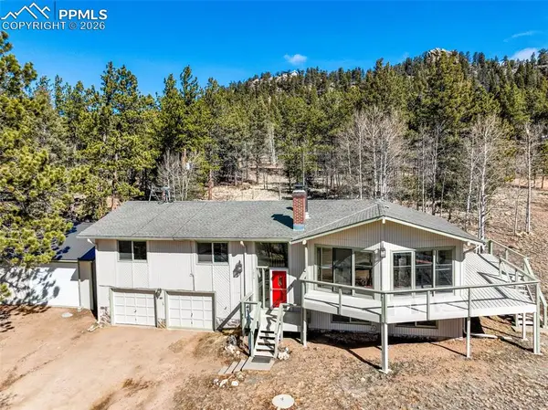 1874 Vagabond Creek Drive, Lake George, CO 80827