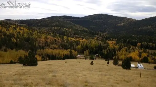 Highway 67, Cripple Creek, CO 80813 - #1