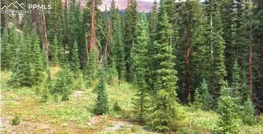 765.2a, Almont, CO 81210 - Image #1