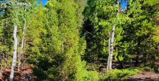 765.2a, Almont, CO 81210 - Image #3