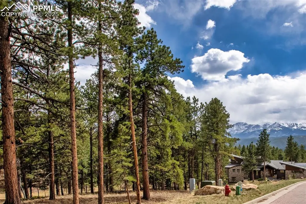 271 Thunder Ridge Drive, Woodland Park, CO 80863 - #1