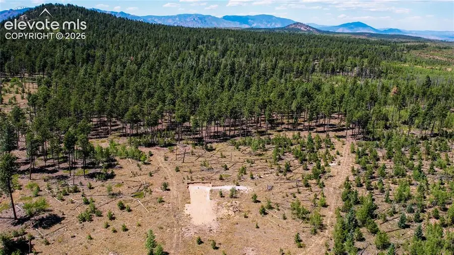 Unit 4 County Road 51, Florissant, CO 80816 - #3