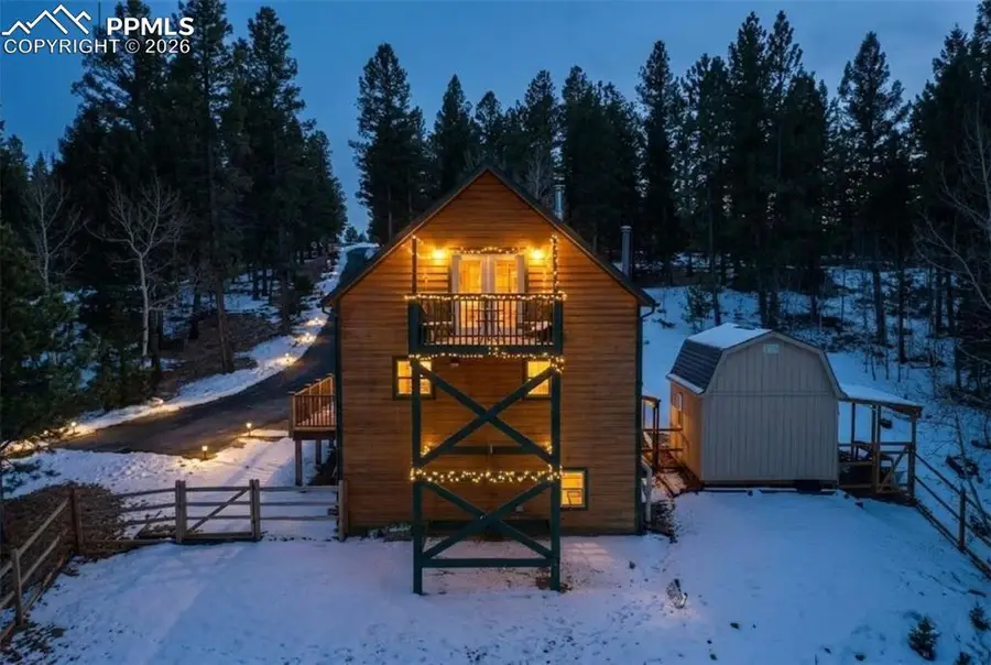 135 Lost Lake Place, Divide, CO 80814 - #3