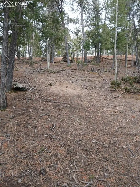 495 Wakanda Trail, Woodland Park, CO 80863 - #2