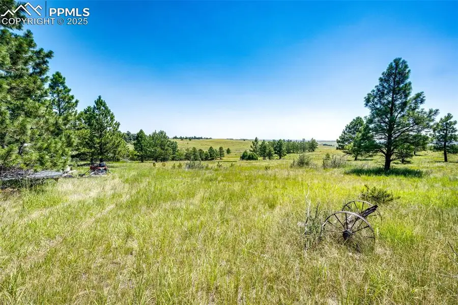 13123 Wilderness Drive, Kiowa, CO 80117 - Image #2