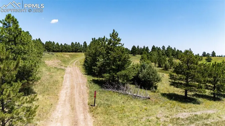 13123 Wilderness Drive, Kiowa, CO 80117 - Image #3
