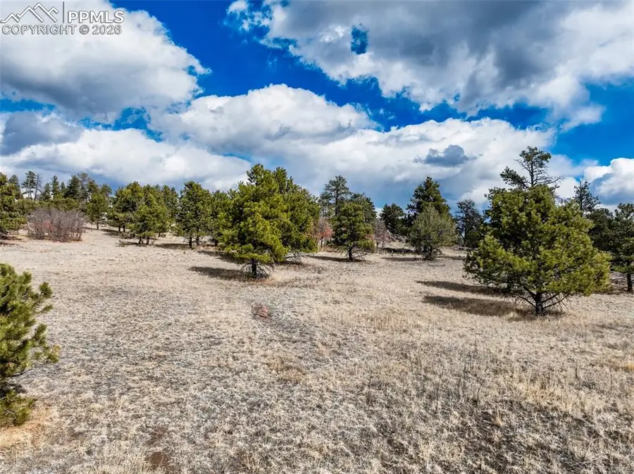 54 Ute Circle, Florissant, CO 80816 - #2
