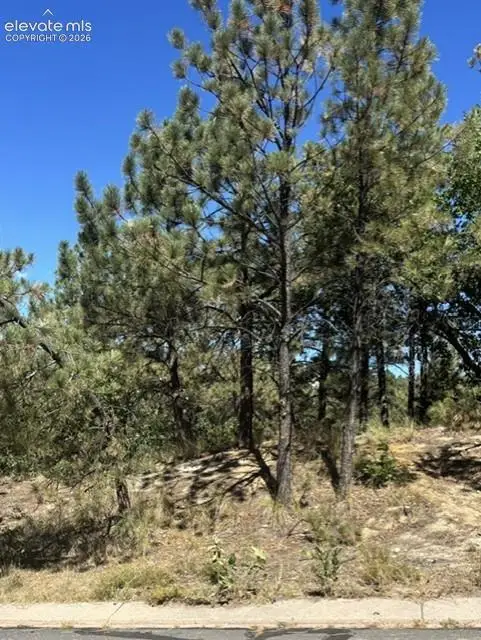 5831 Spurwood Court, Colorado Springs, CO 80918