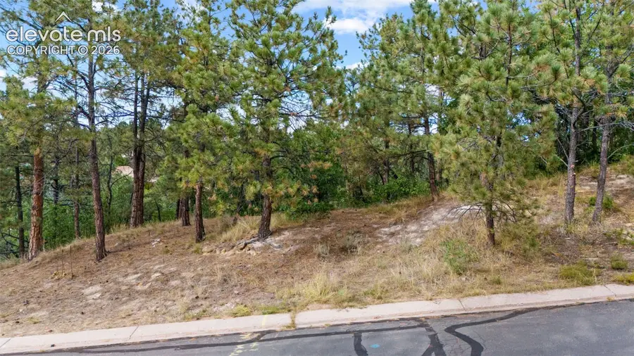 5831 Spurwood Court, Colorado Springs, CO 80918 - #2