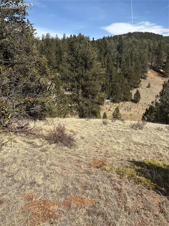 70 Brown Bear Lane, Cripple Creek, CO 80813 - #1