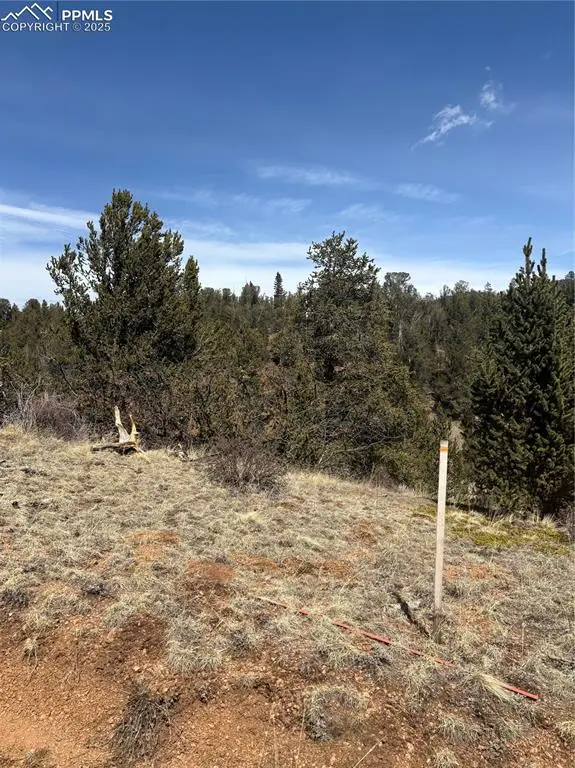 70 Brown Bear Lane, Cripple Creek, CO 80813 - #2