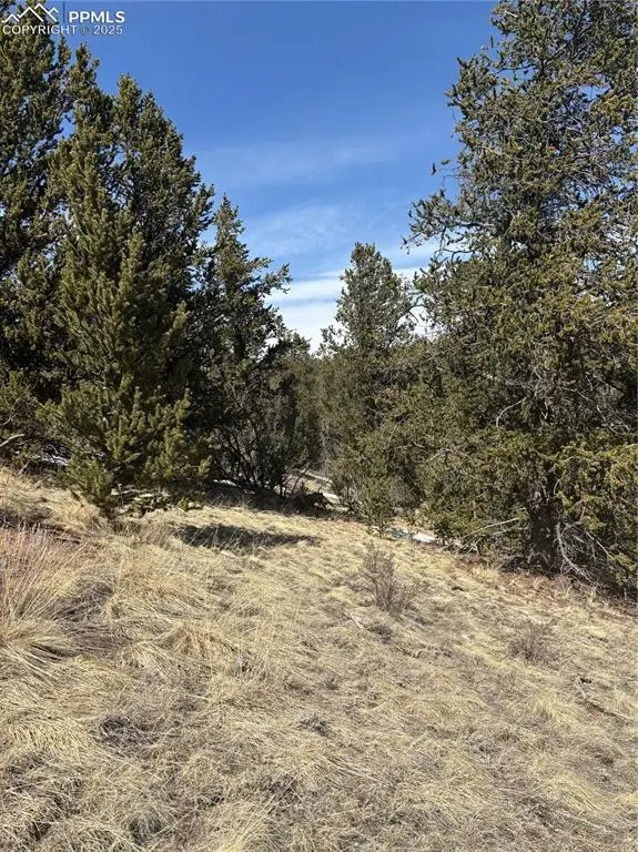 70 Brown Bear Lane, Cripple Creek, CO 80813 - #3