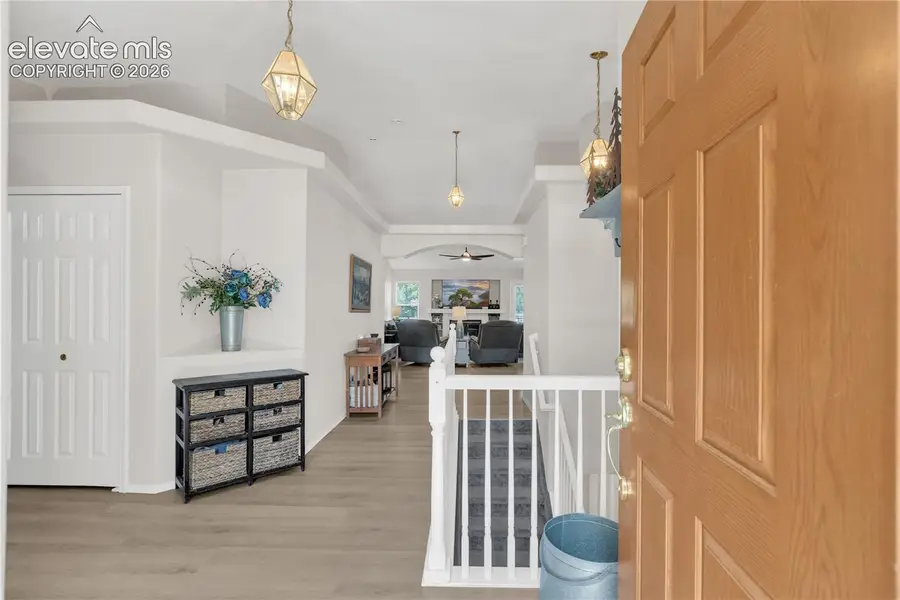 6769 Showhorse Court, Colorado Springs, CO 80922 - #3