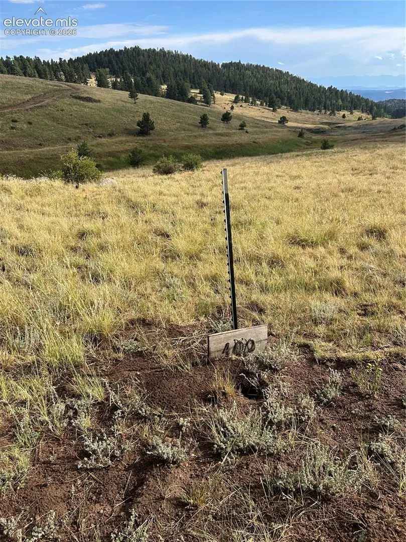 1100 Grumpy Burrow View, Cripple Creek, CO 80863 - #1