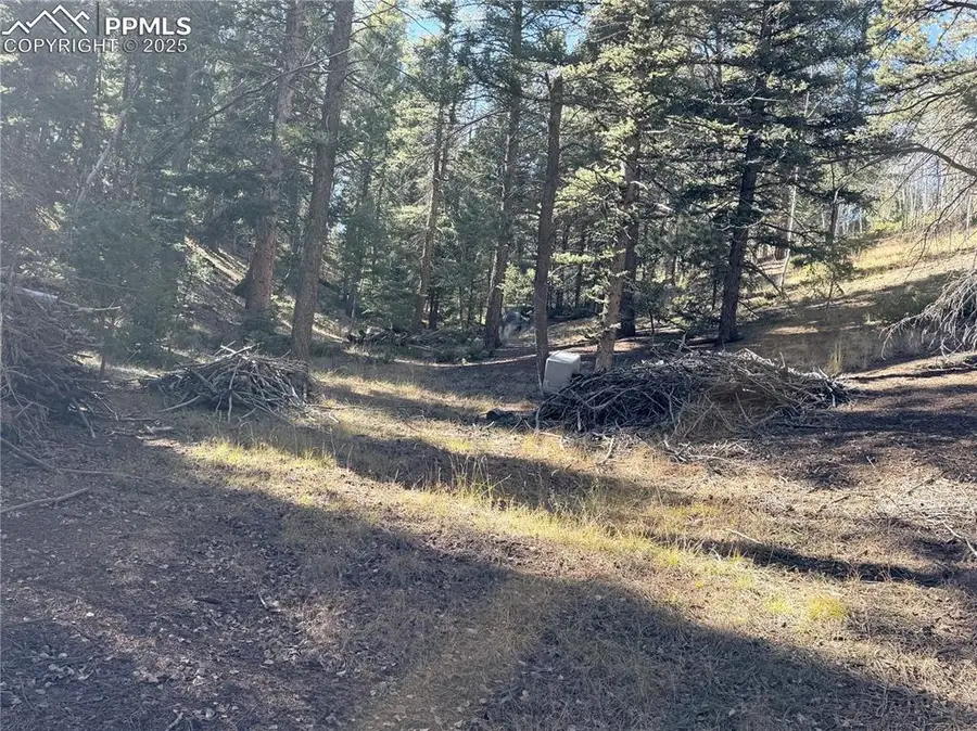 453 Homestead Drive, Woodland Park, CO 80863 - Image #2