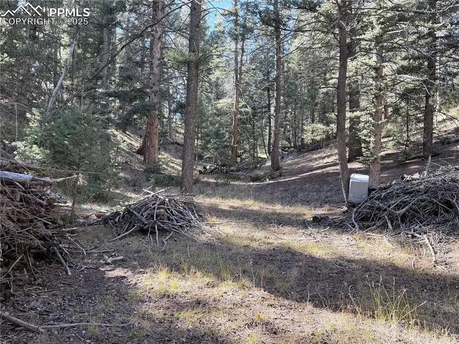 453 Homestead Drive, Woodland Park, CO 80863 - Image #3