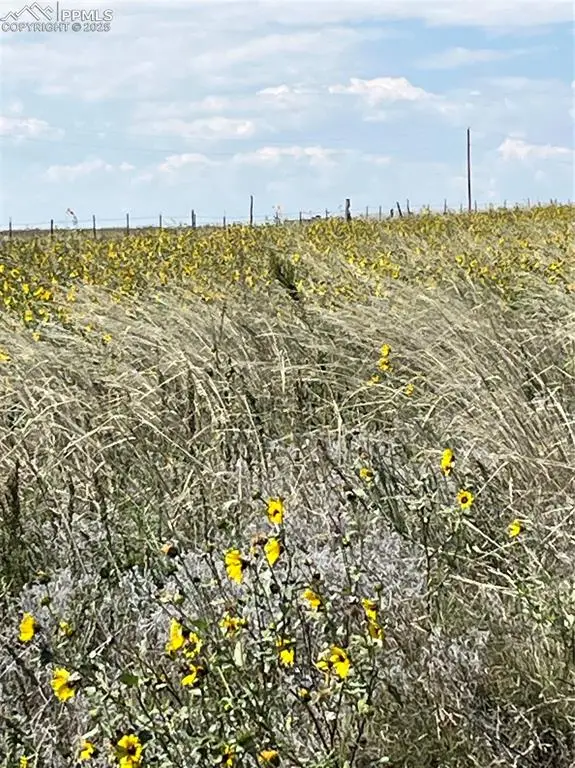 1999 Sengbeil Road, Yoder, CO 80864 - Image #2