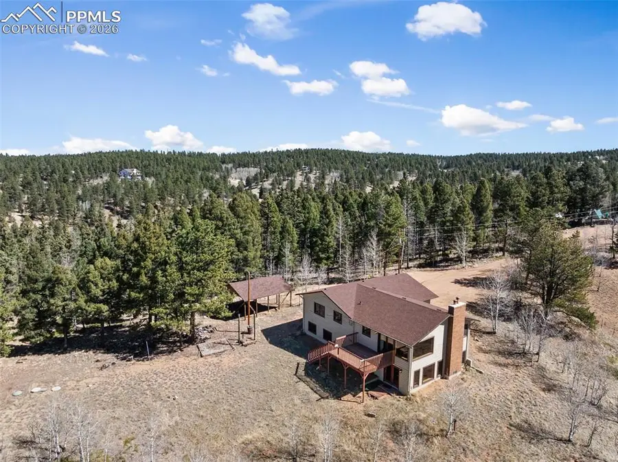 4265 County Road 51 Road, Divide, CO 80814 - #3