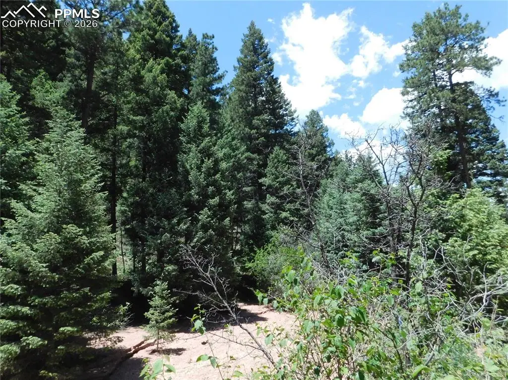 13175 Spruce Creek Circle, Larkspur, CO 80118 - #1