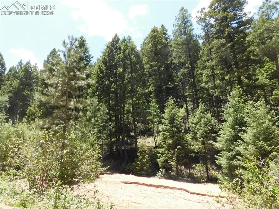 13175 Spruce Creek Circle, Larkspur, CO 80118 - #3