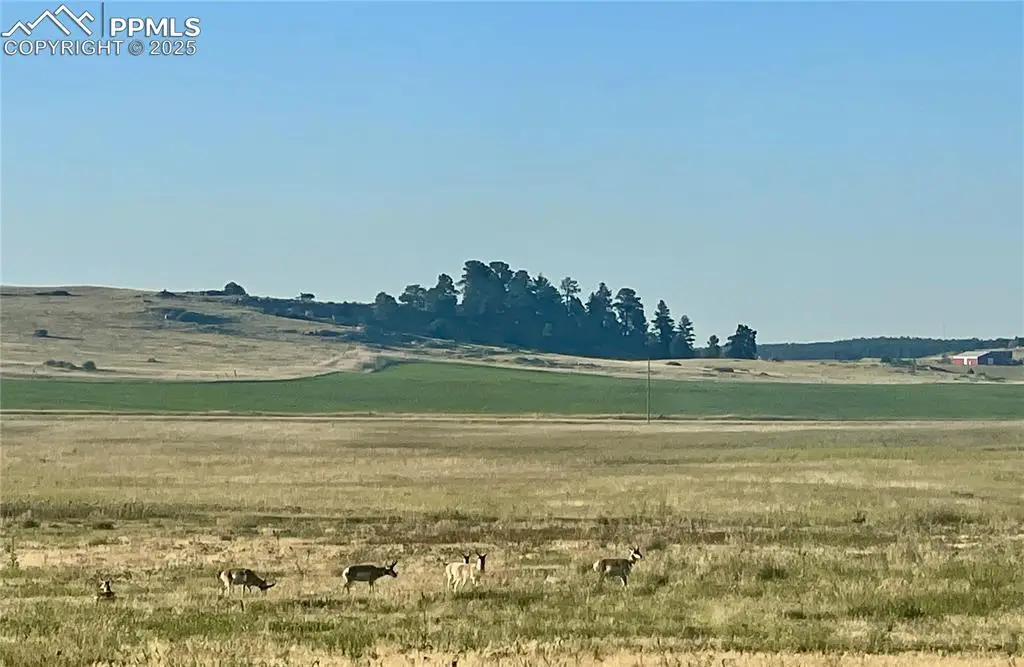 Lot 1 Craven Place, Elbert, CO 80106 - Image #1