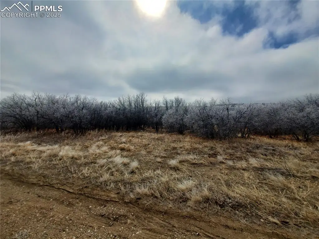 Thacker Road, Colorado City, CO 81069 - Image #1