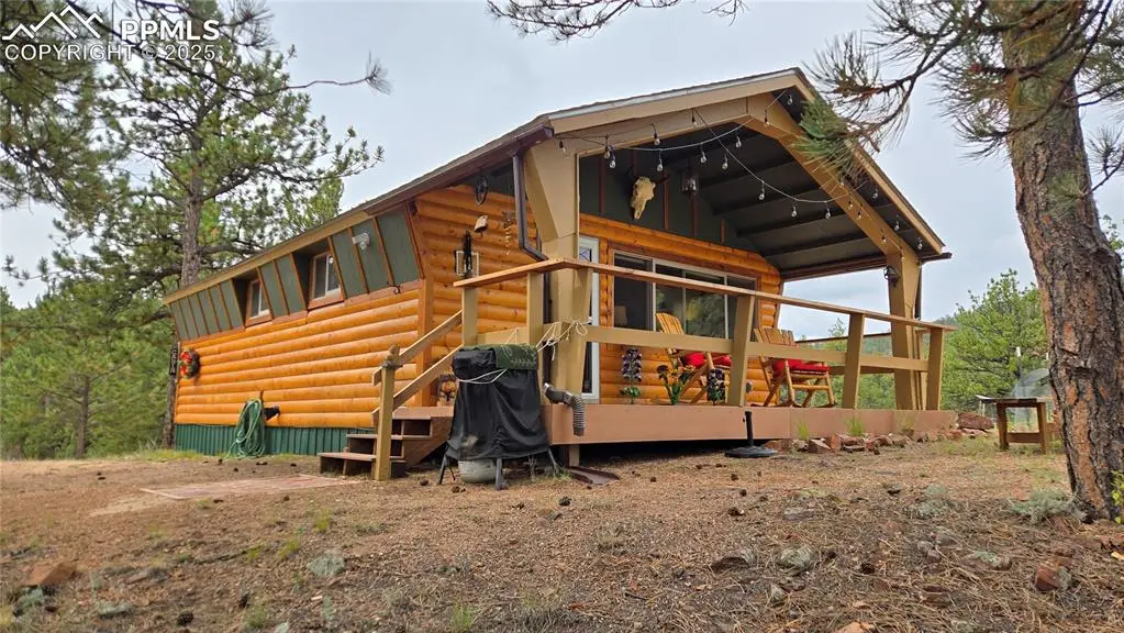 259 S Vermillion Road, Lake George, CO 80827 - #1